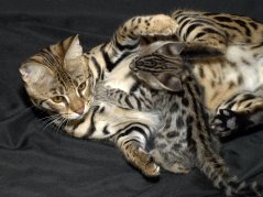 Cubbie and Baby 