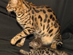 Cubbie and Baby
