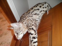 Coming down!