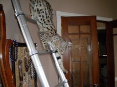 Not as easy coming down!